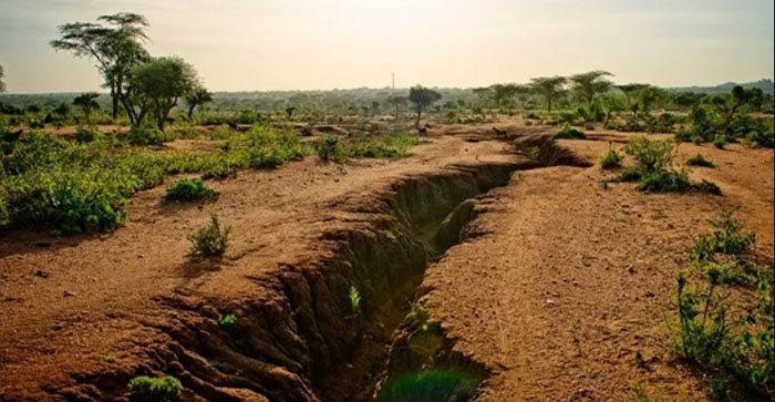 images/stories/2026/05/africa.jpg
