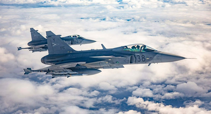 grippen1